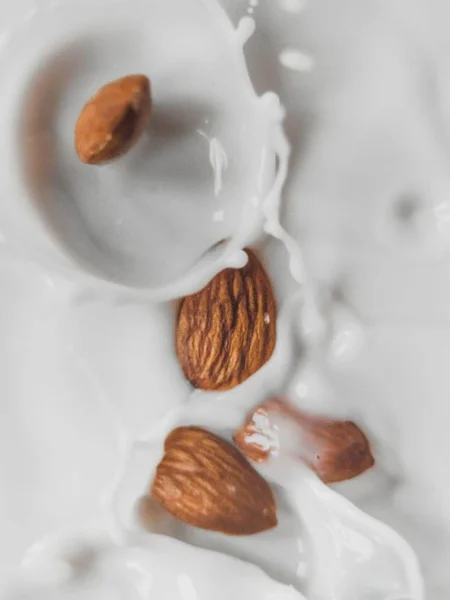 Nut & Cereal Milk Magic