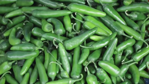 Fermented Chili: A Bold, Tangy, and Spicy Condiment